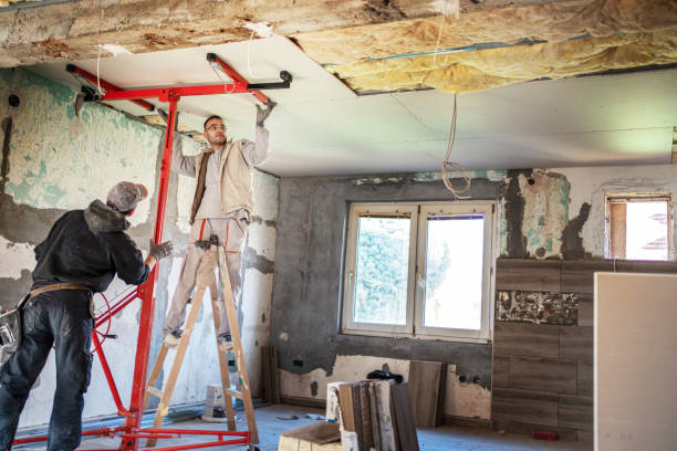 Best Local Insulation Services  in Holiday Valley, OH